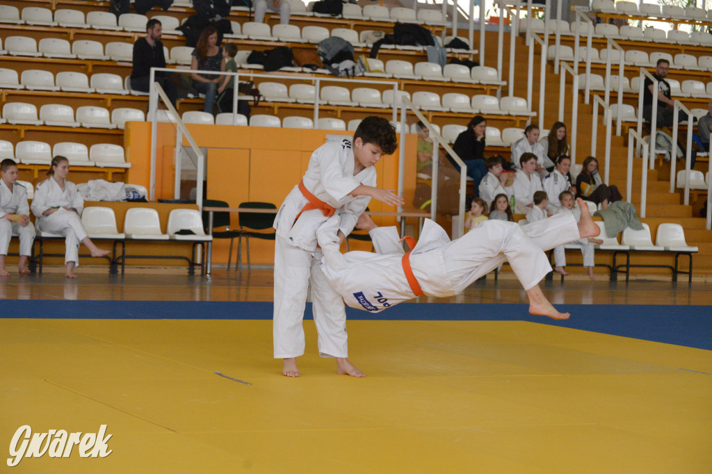 Tarnowskie Góry. Mistrzostwa Śląska Judo Kata