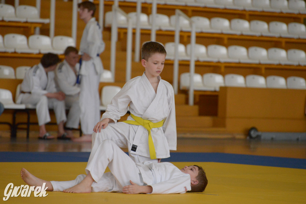 Tarnowskie Góry. Mistrzostwa Śląska Judo Kata