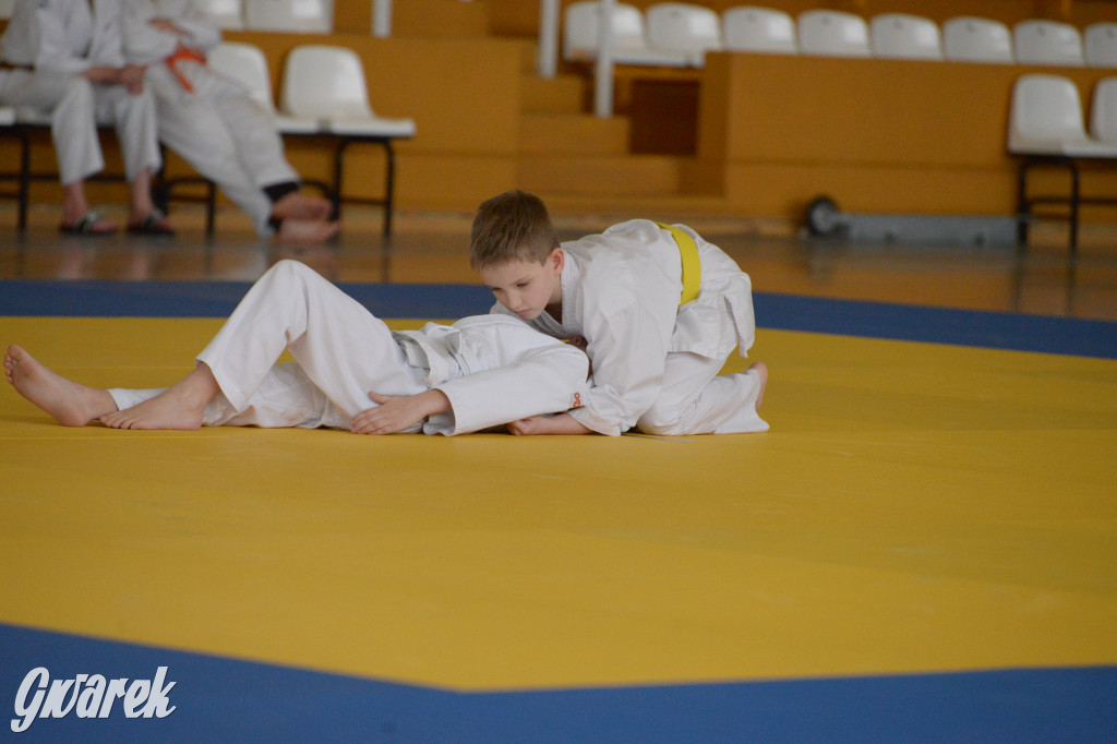 Tarnowskie Góry. Mistrzostwa Śląska Judo Kata