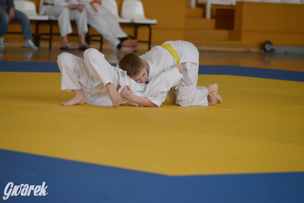 Tarnowskie Góry. Mistrzostwa Śląska Judo Kata