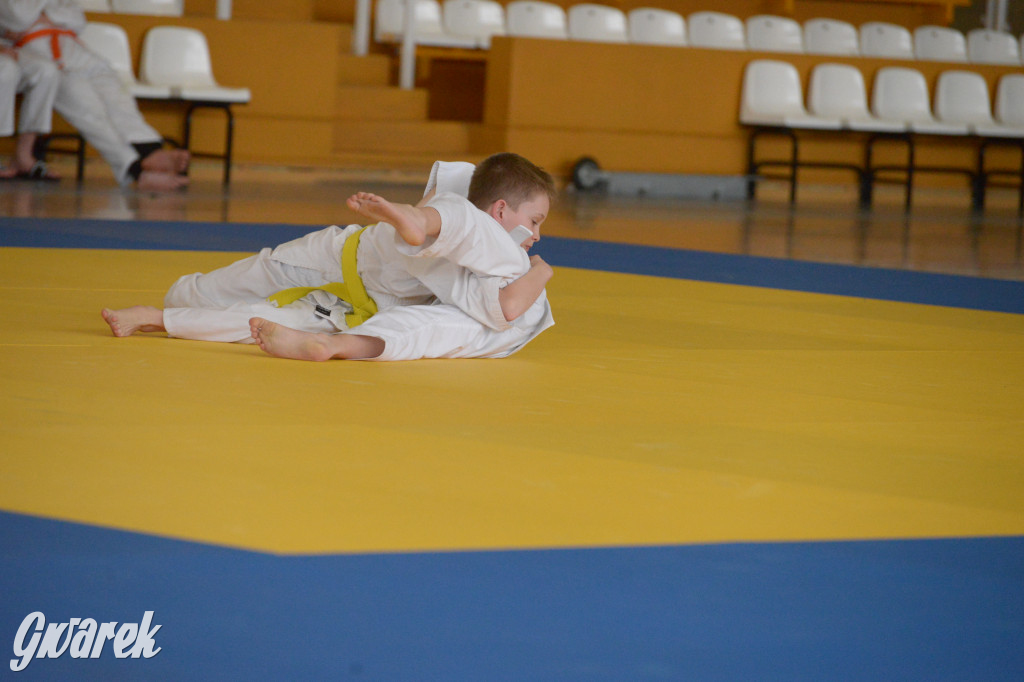 Tarnowskie Góry. Mistrzostwa Śląska Judo Kata