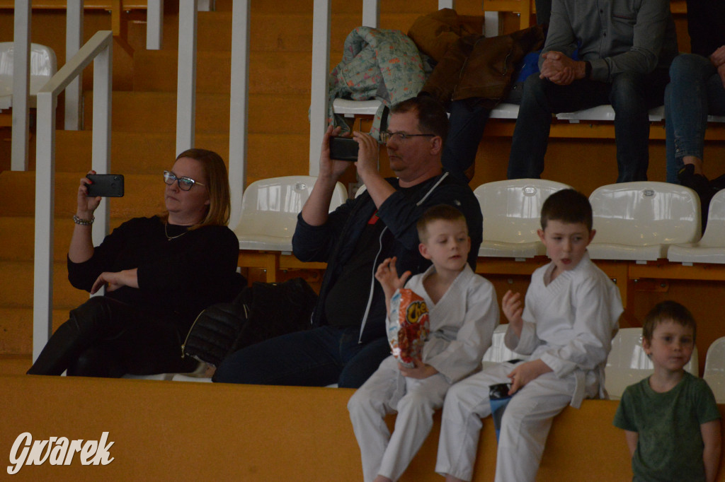 Tarnowskie Góry. Mistrzostwa Śląska Judo Kata