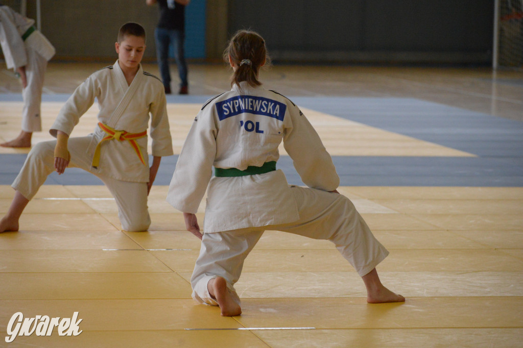 Tarnowskie Góry. Mistrzostwa Śląska Judo Kata