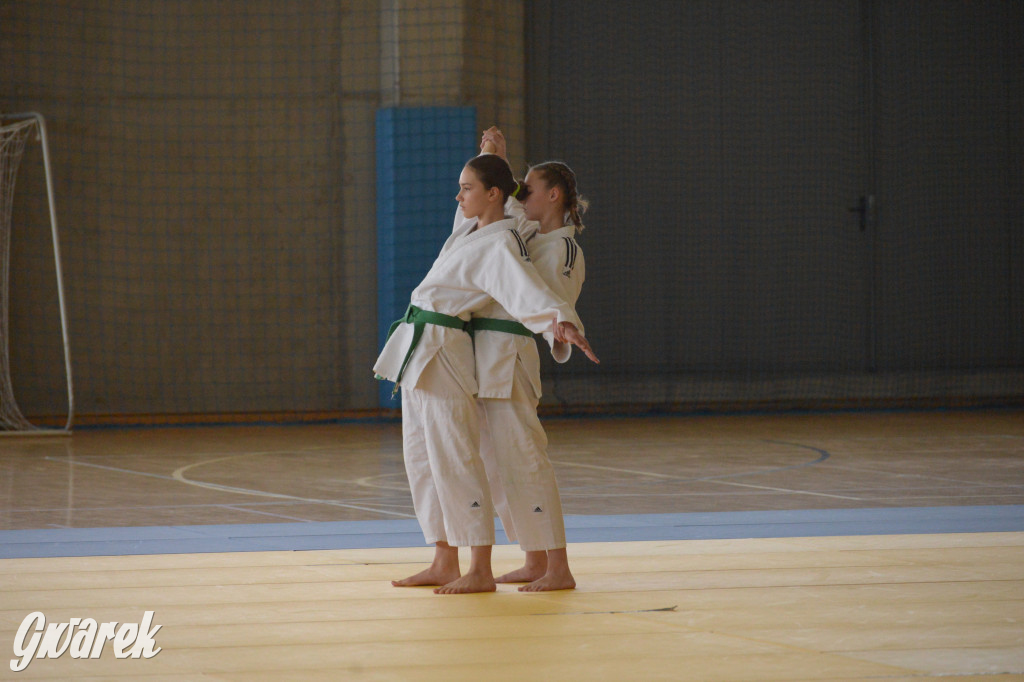 Tarnowskie Góry. Mistrzostwa Śląska Judo Kata