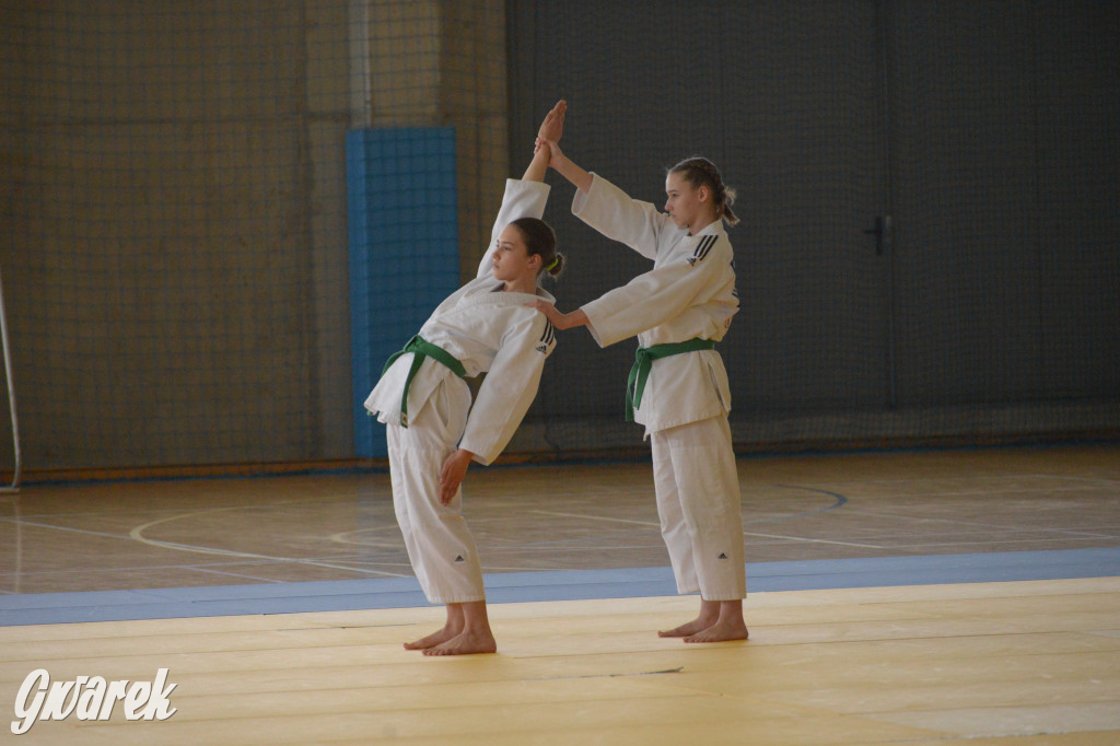 Tarnowskie Góry. Mistrzostwa Śląska Judo Kata