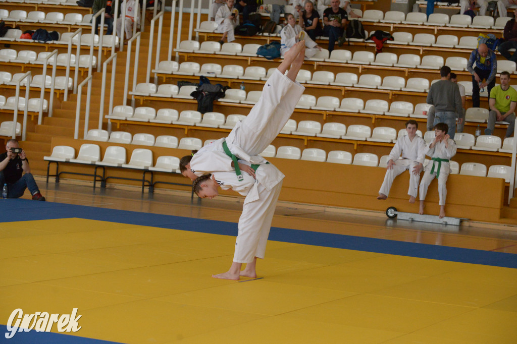 Tarnowskie Góry. Mistrzostwa Śląska Judo Kata