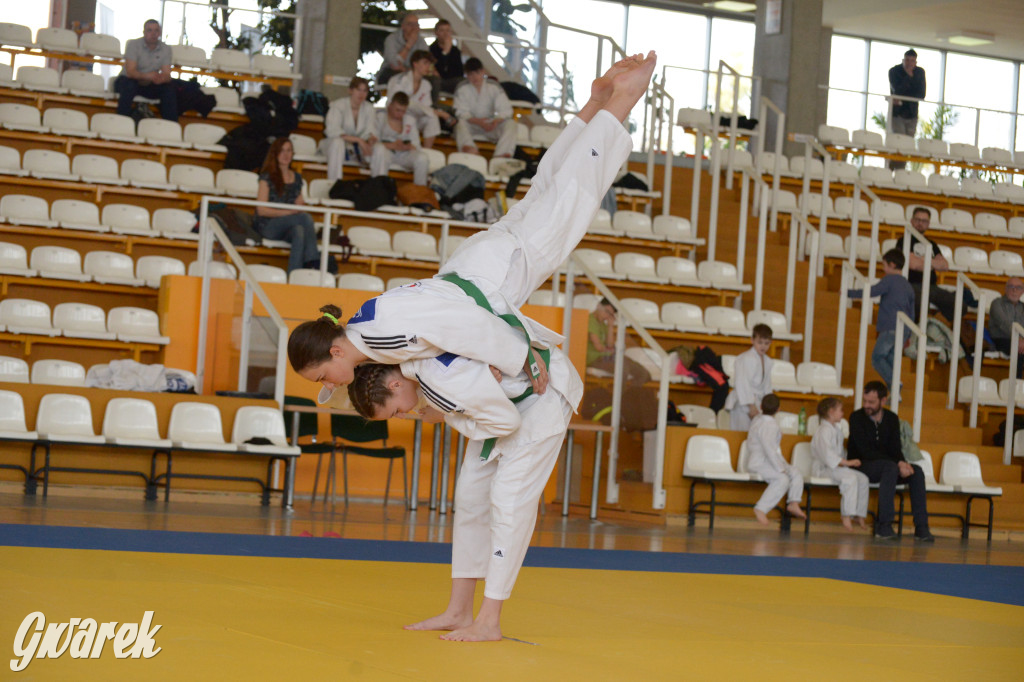 Tarnowskie Góry. Mistrzostwa Śląska Judo Kata