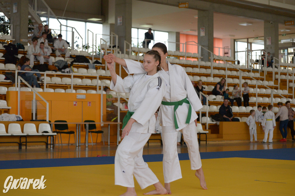 Tarnowskie Góry. Mistrzostwa Śląska Judo Kata