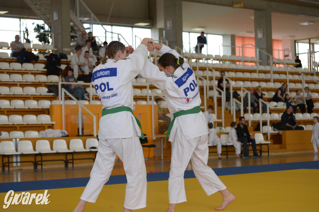 Tarnowskie Góry. Mistrzostwa Śląska Judo Kata