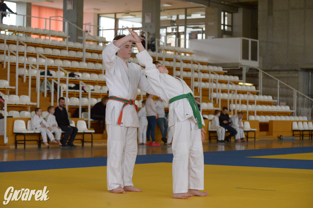 Tarnowskie Góry. Mistrzostwa Śląska Judo Kata