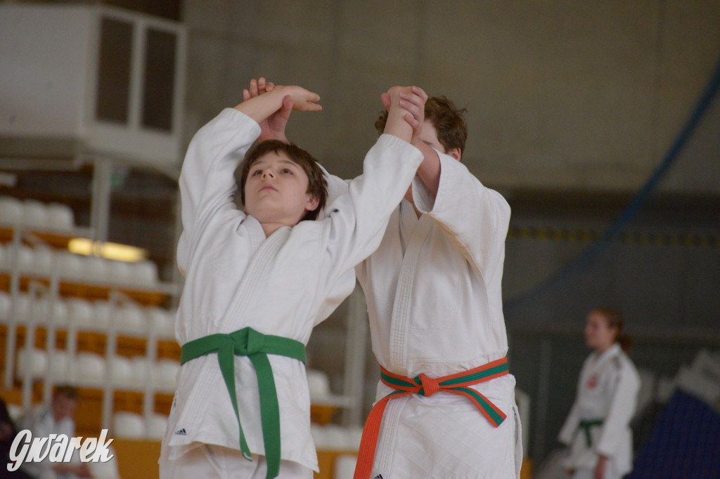 Tarnowskie Góry. Mistrzostwa Śląska Judo Kata