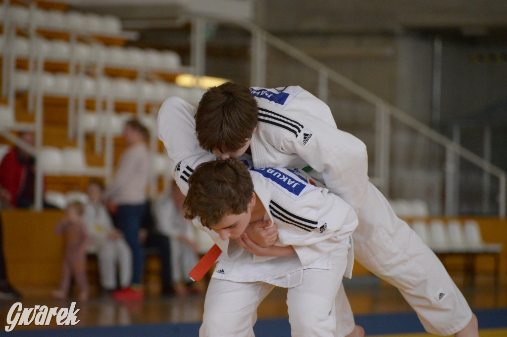 Tarnowskie Góry. Mistrzostwa Śląska Judo Kata