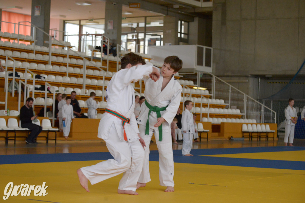 Tarnowskie Góry. Mistrzostwa Śląska Judo Kata