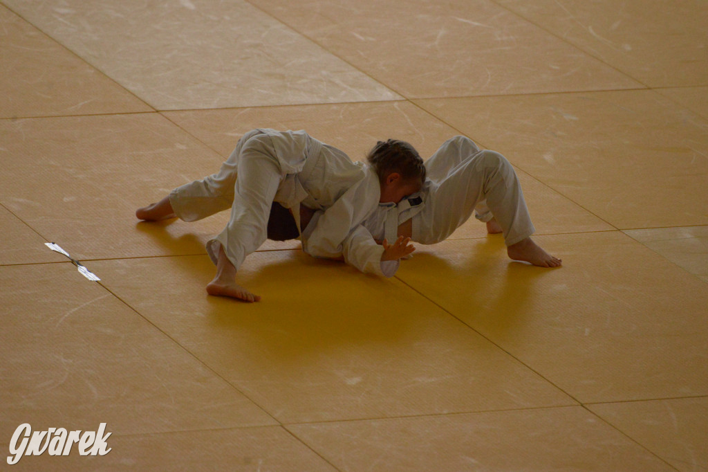 Tarnowskie Góry. Mistrzostwa Śląska Judo Kata