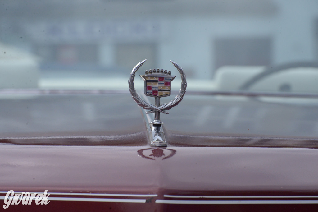 Tarnowskie Góry. Zlot kabrioletów z Silesia Cabrio