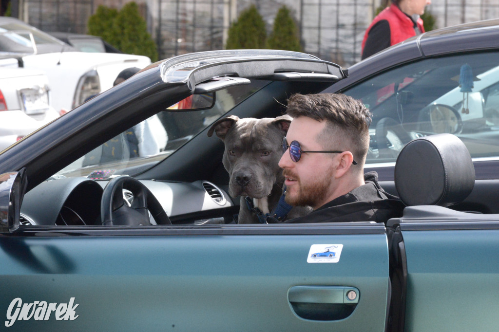 Tarnowskie Góry. Zlot kabrioletów z Silesia Cabrio