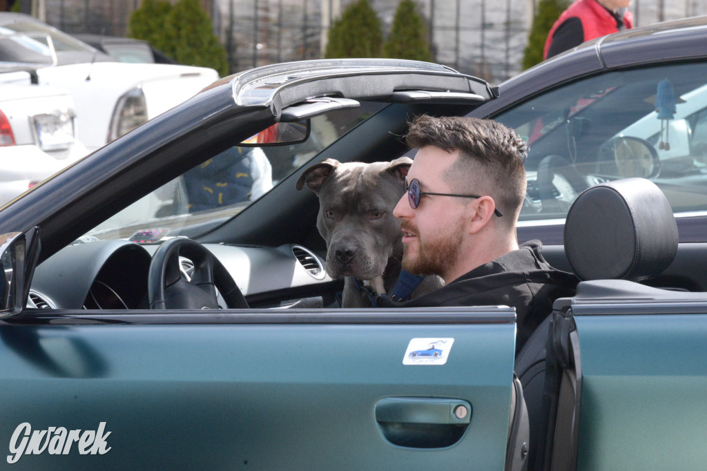 Tarnowskie Góry. Zlot kabrioletów z Silesia Cabrio