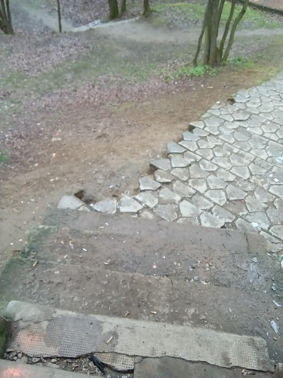 Wieża w tarnogórskim parku popada w ruinę