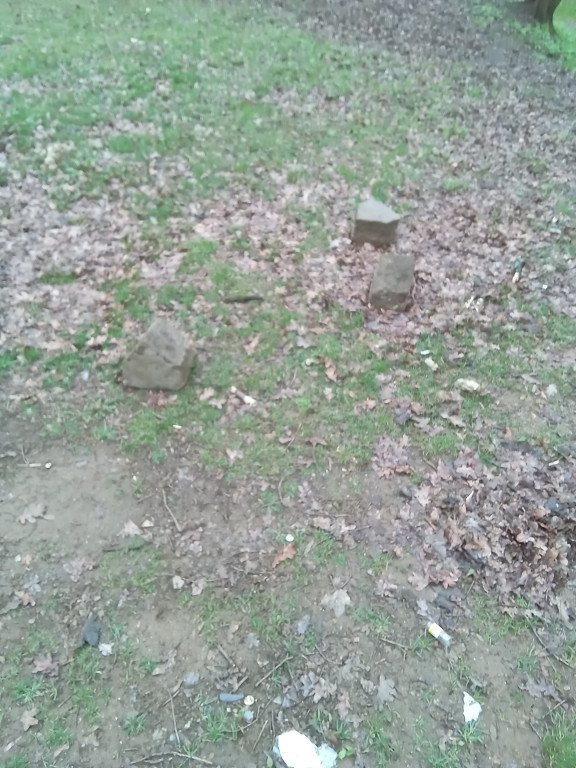 Wieża w tarnogórskim parku popada w ruinę