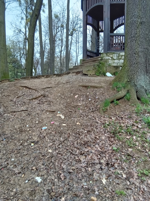 Wieża w tarnogórskim parku popada w ruinę