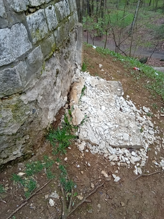 Wieża w tarnogórskim parku popada w ruinę