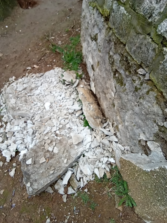 Wieża w tarnogórskim parku popada w ruinę