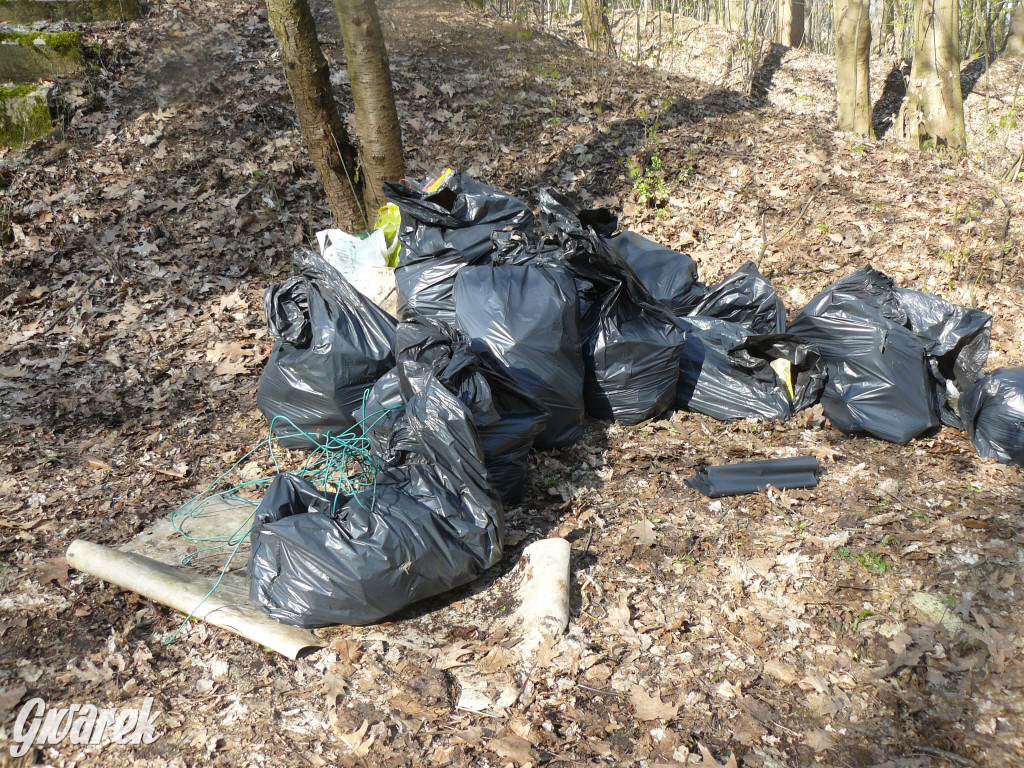 Tarnowskie Góry. Sprzątanie parku Piny