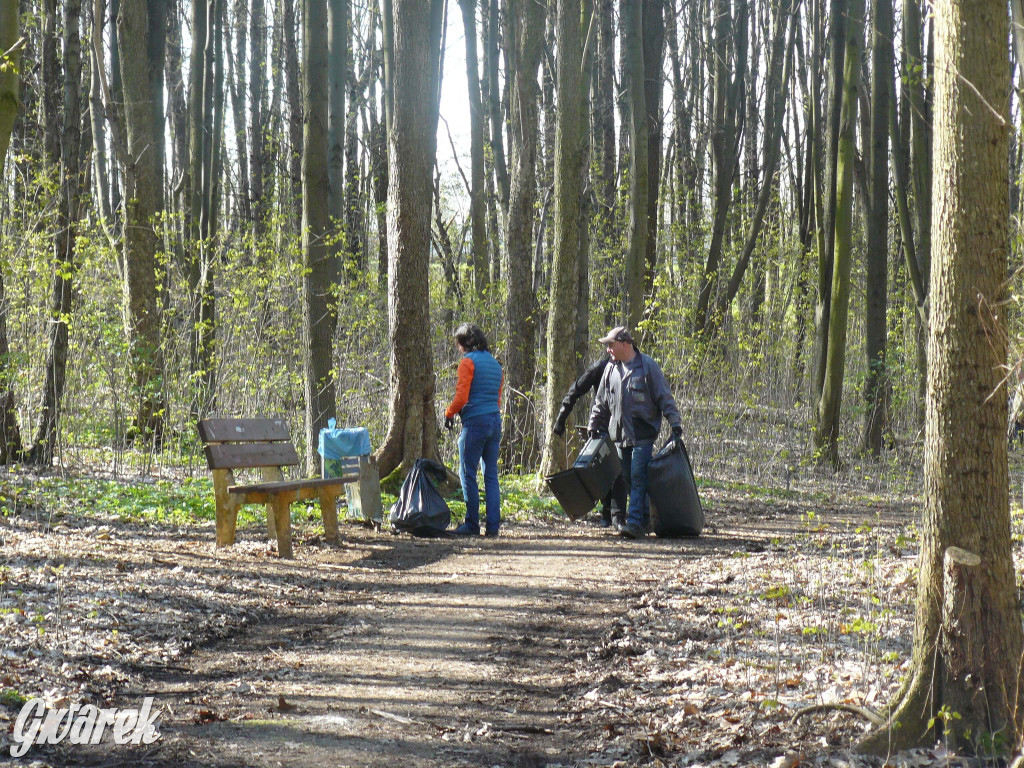 Tarnowskie Góry. Sprzątanie parku Piny