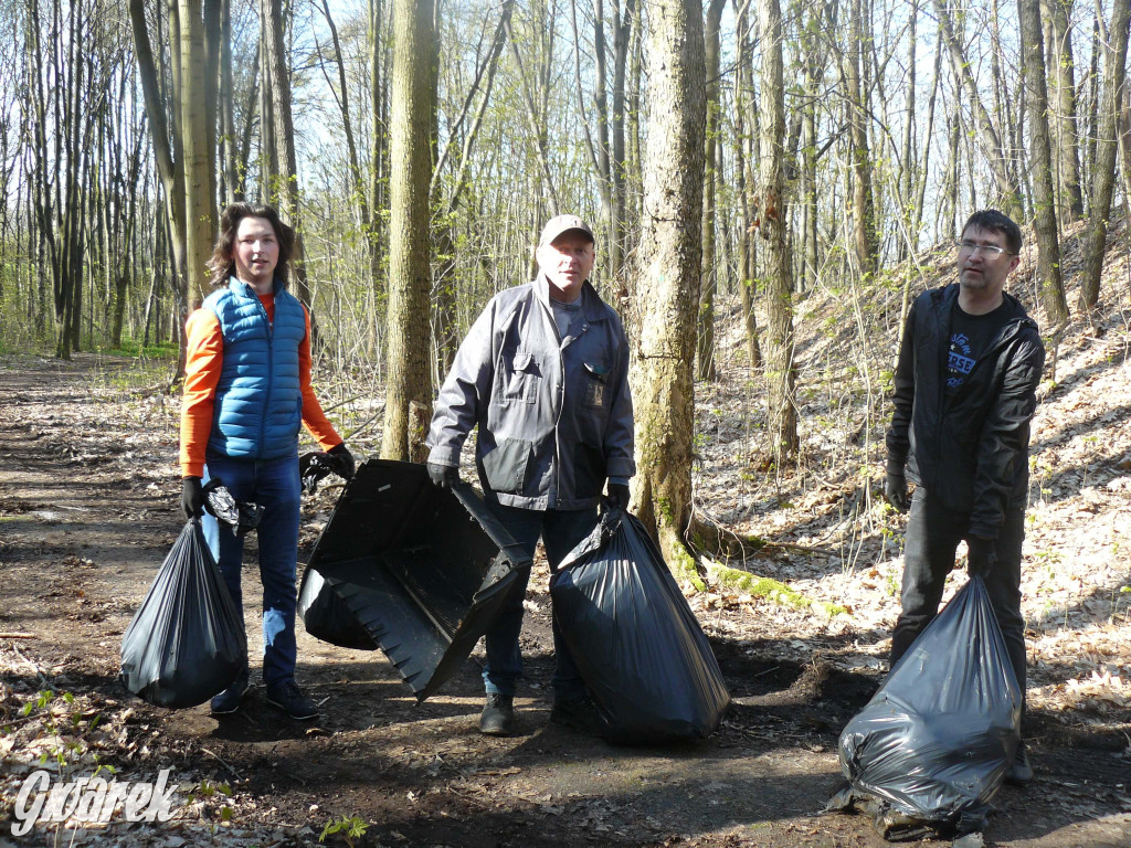 Tarnowskie Góry. Sprzątanie parku Piny