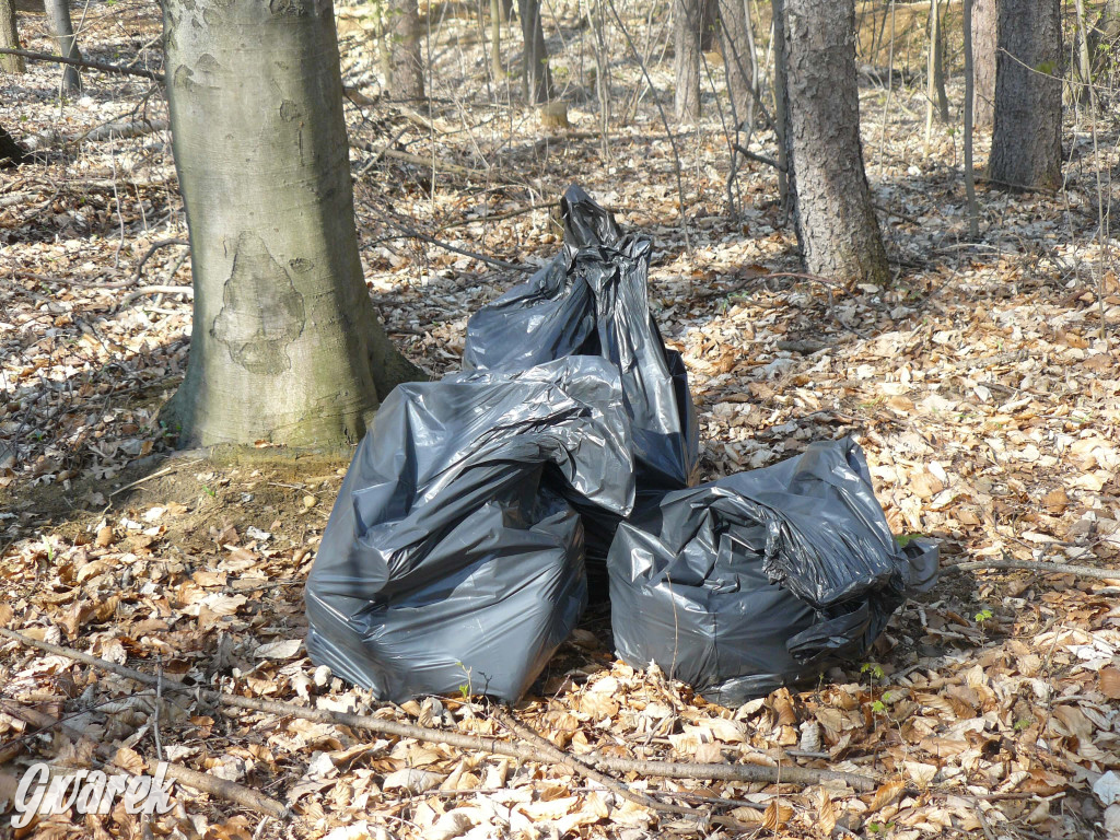 Tarnowskie Góry. Sprzątanie parku Piny