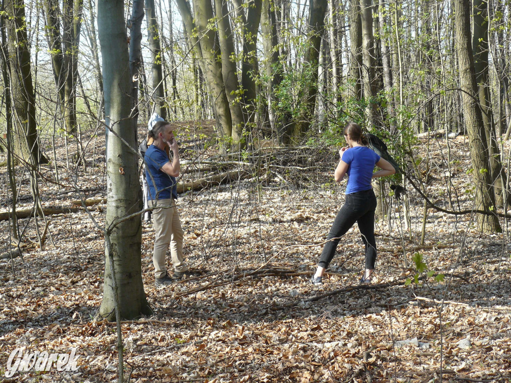 Tarnowskie Góry. Sprzątanie parku Piny