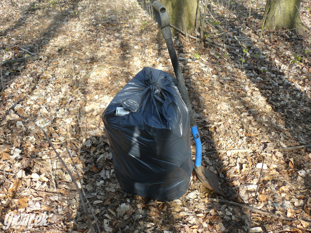 Tarnowskie Góry. Sprzątanie parku Piny