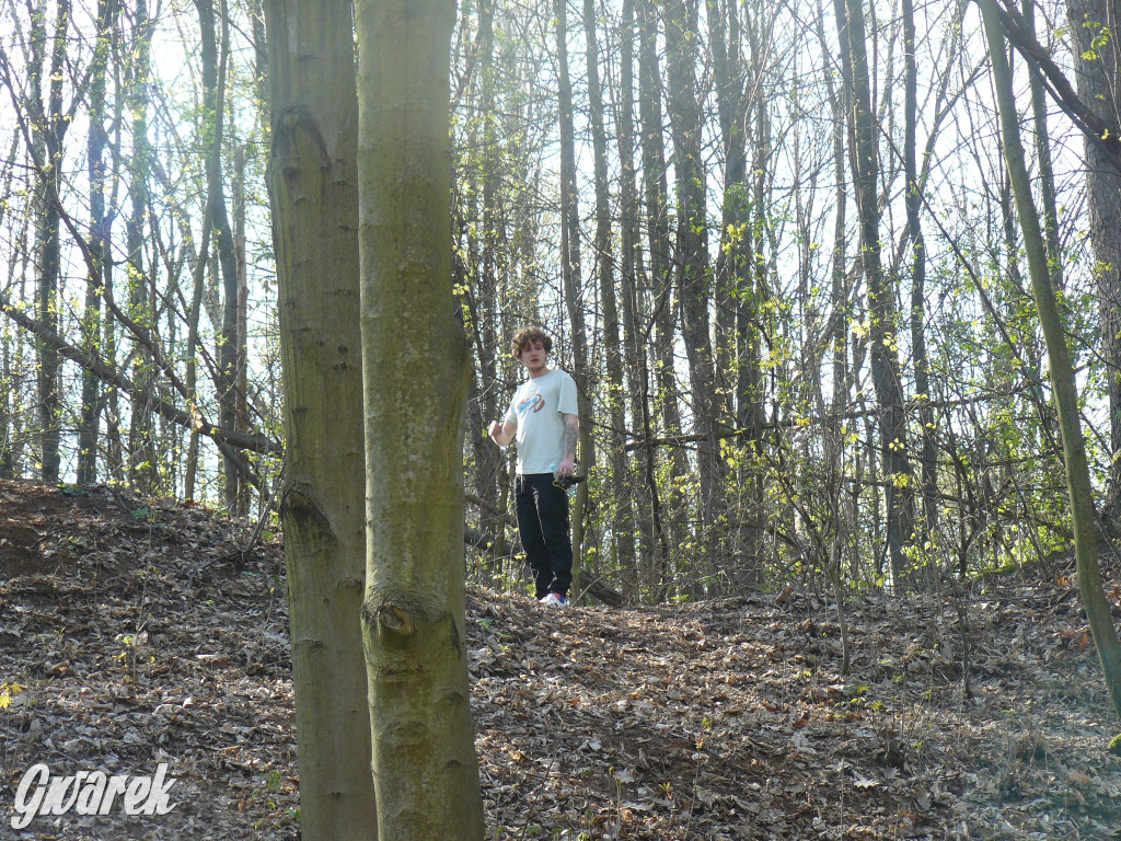 Tarnowskie Góry. Sprzątanie parku Piny