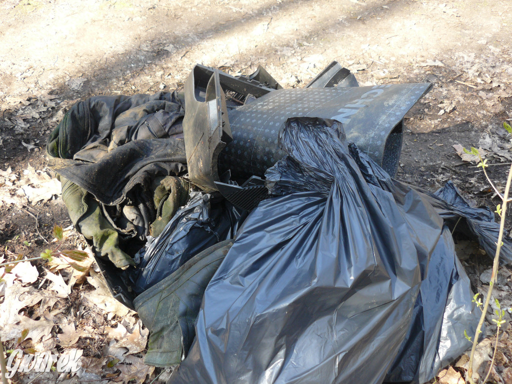 Tarnowskie Góry. Sprzątanie parku Piny