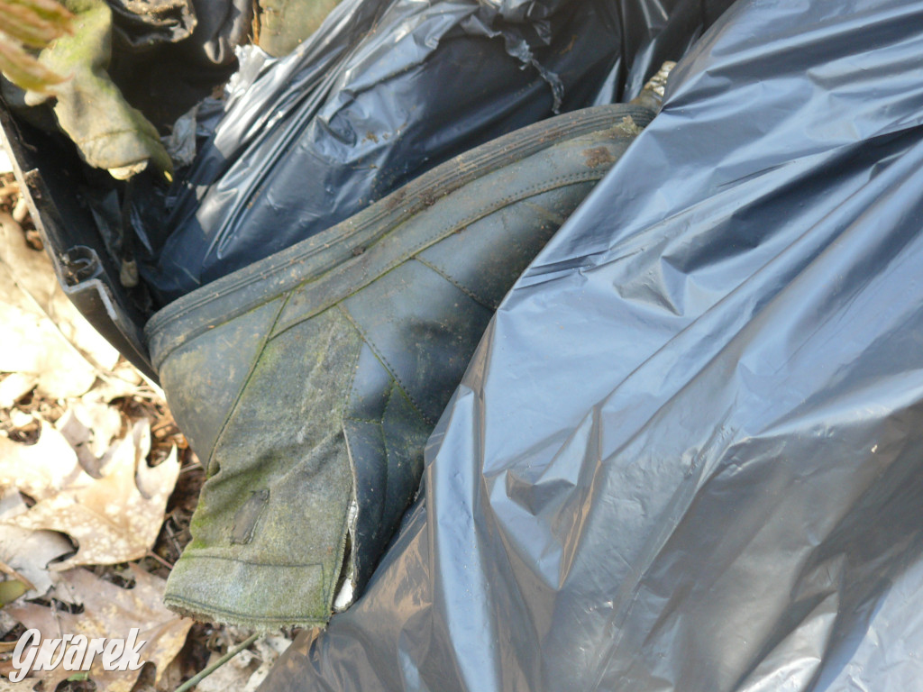 Tarnowskie Góry. Sprzątanie parku Piny