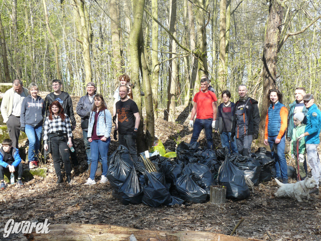 Tarnowskie Góry. Sprzątanie parku Piny