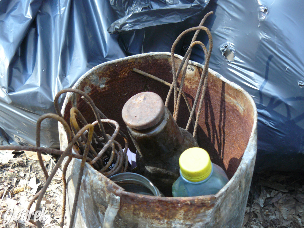 Tarnowskie Góry. Sprzątanie parku Piny