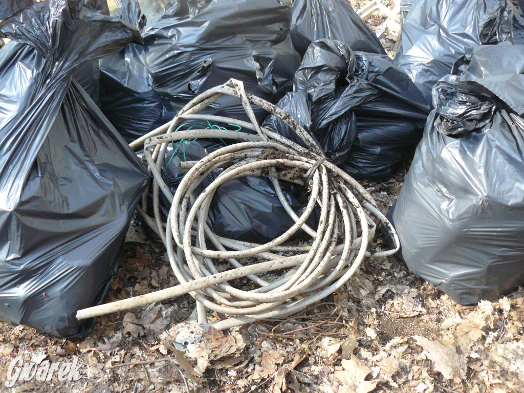 Tarnowskie Góry. Sprzątanie parku Piny