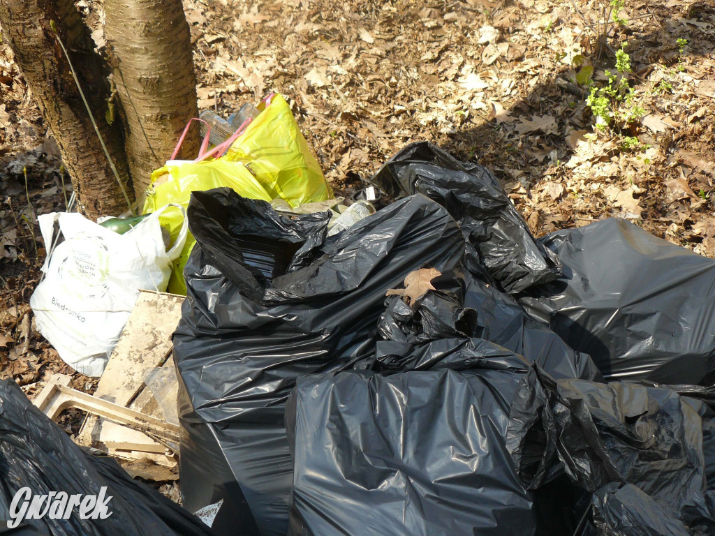 Tarnowskie Góry. Sprzątanie parku Piny