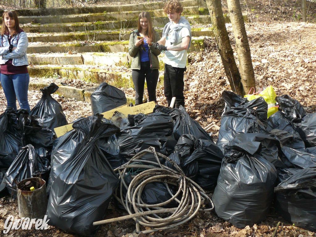 Tarnowskie Góry. Sprzątanie parku Piny