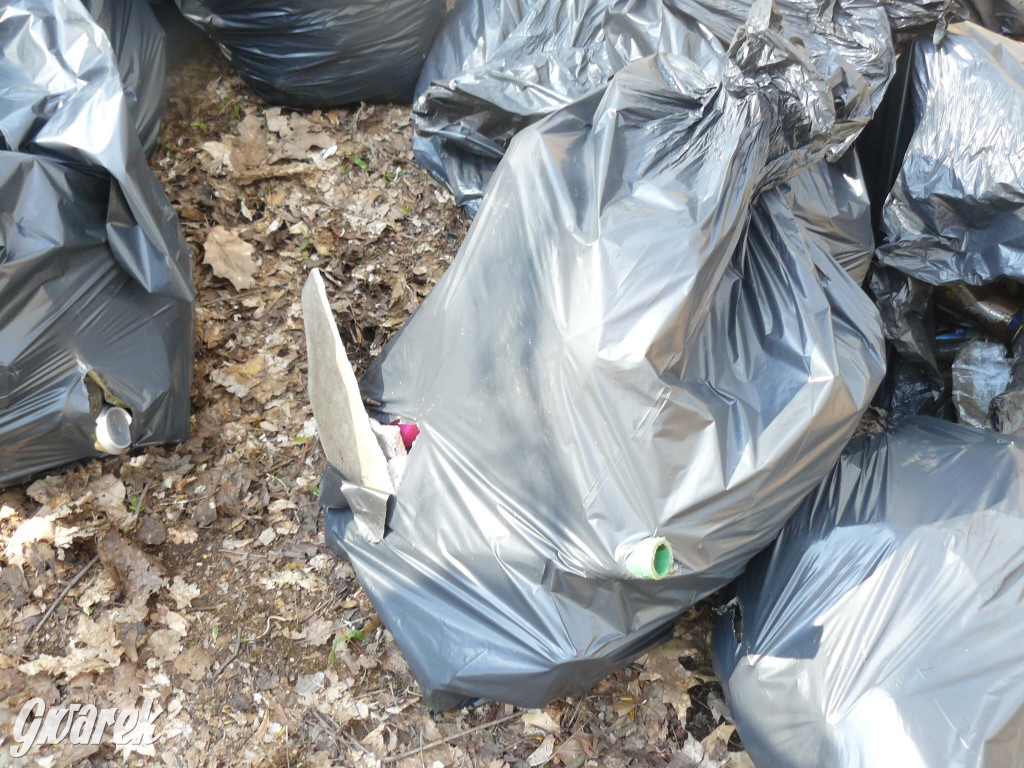 Tarnowskie Góry. Sprzątanie parku Piny