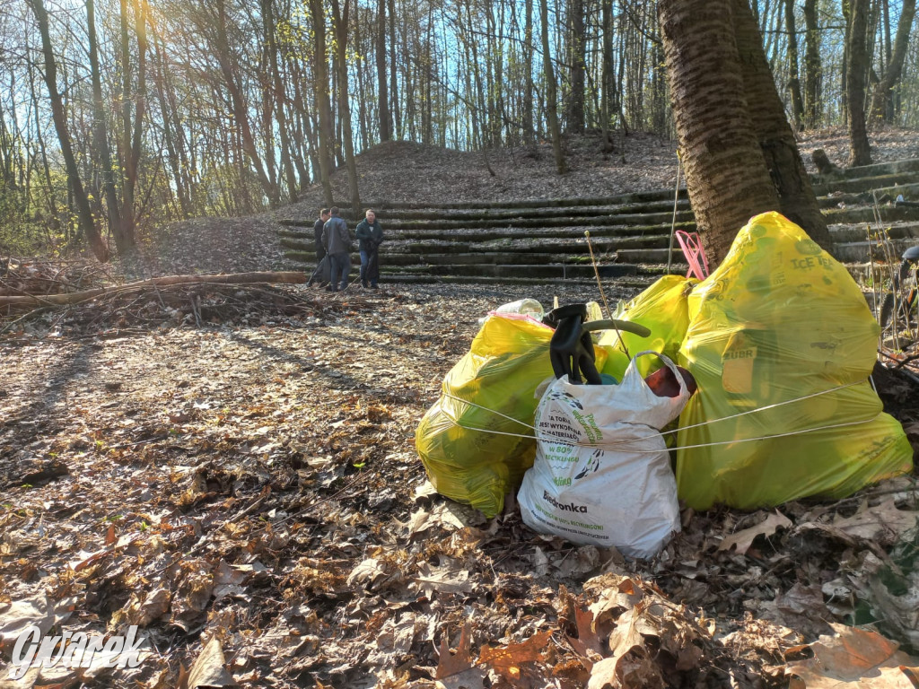 Tarnowskie Góry. Sprzątanie parku Piny