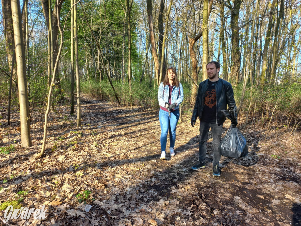 Tarnowskie Góry. Sprzątanie parku Piny