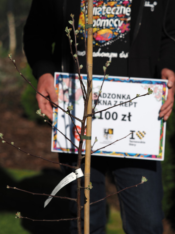 Burmistrz Czech posadził jabłoń w ogrodzie...