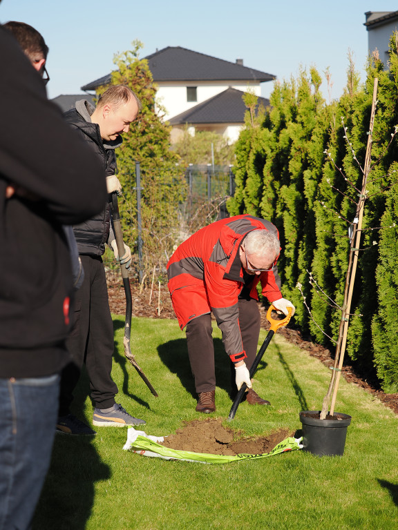 Burmistrz Czech posadził jabłoń w ogrodzie...