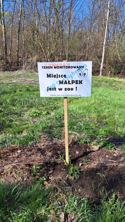 Strzybnica, zalew Nakło-Chechło. Akcje sprzątania