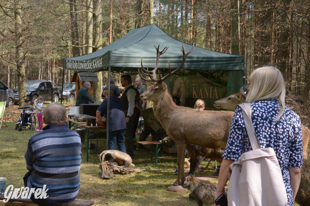 Kalety. Rajzowanie po kalyckich stanicach