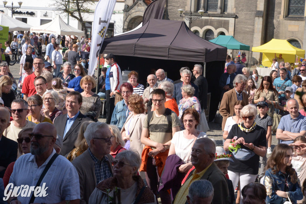 Tarnowskie Góry. Piękna z Rept