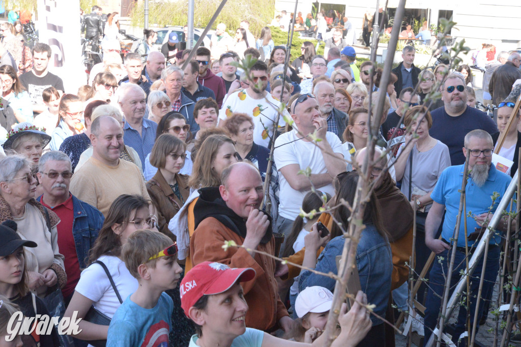 Tarnowskie Góry. Piękna z Rept