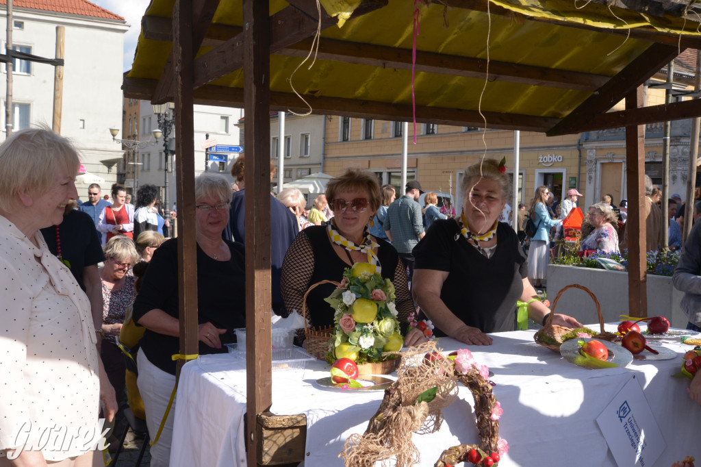 Tarnowskie Góry. Piękna z Rept